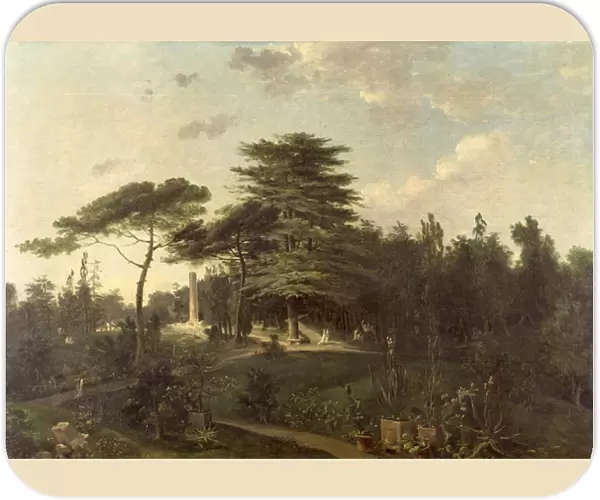The Cedar of Lebanon in the Jardin des Plantes (oil on canvas)