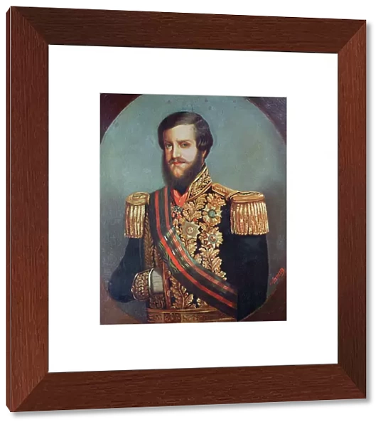 Pedro II (1825-91) Emperor of Brazil (oil on canvas)