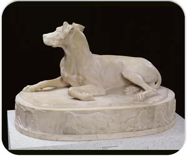 A Dog, 1827 (marble) (see also 223452)