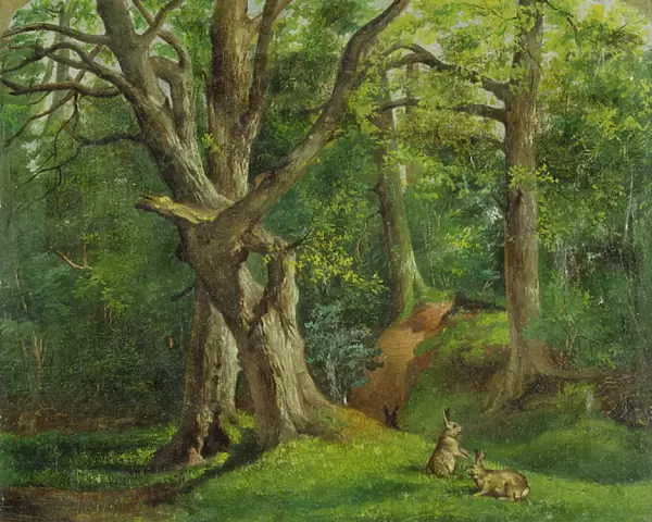Woodland Scene with Rabbits, 1862 (oil on canvas)