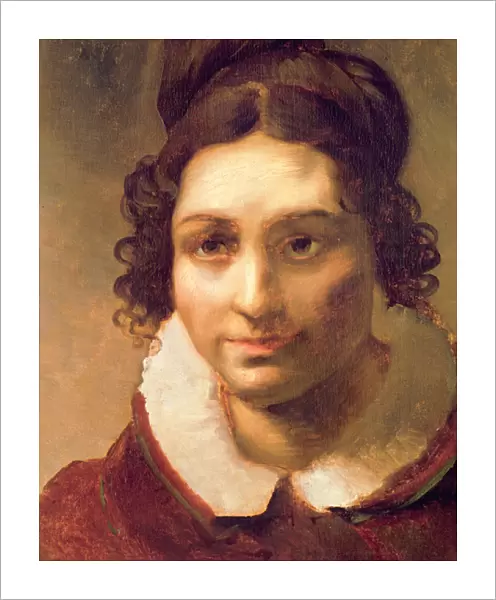 Suzanne or Portrait presumed to be Alexandrine-Modeste Caruel de Saint-Martin, the