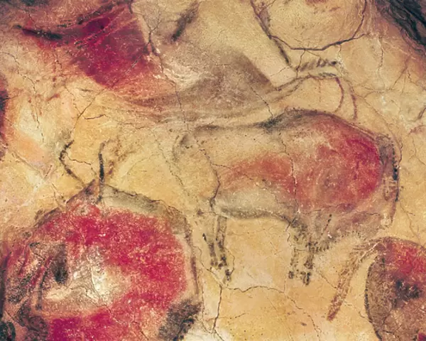 Bisons, from the Caves at Altamira, c. 15000 BC (cave painting)