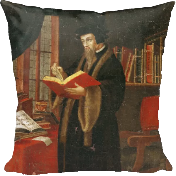 Portrait of John Calvin (1509-64), French theologian and reformer (oil on canvas)