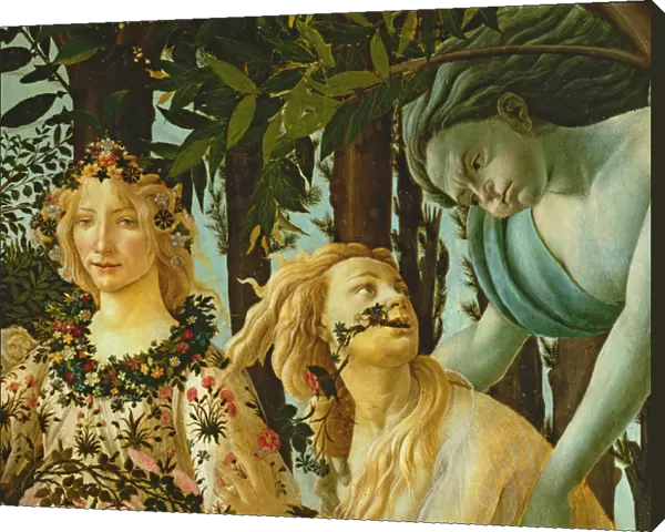 Primavera, detail of Flora and Zephyr, c. 1478, (tempera on panel) (detail of 558)