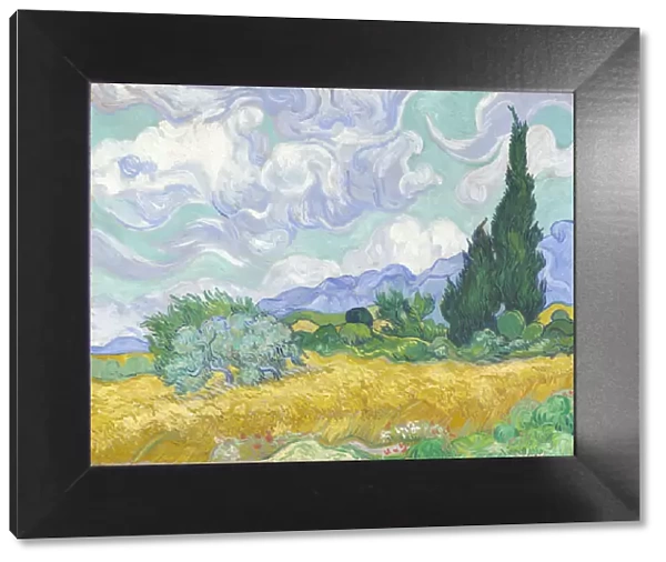 Wheatfield with Cypresses, 1889 (oil on canvas)