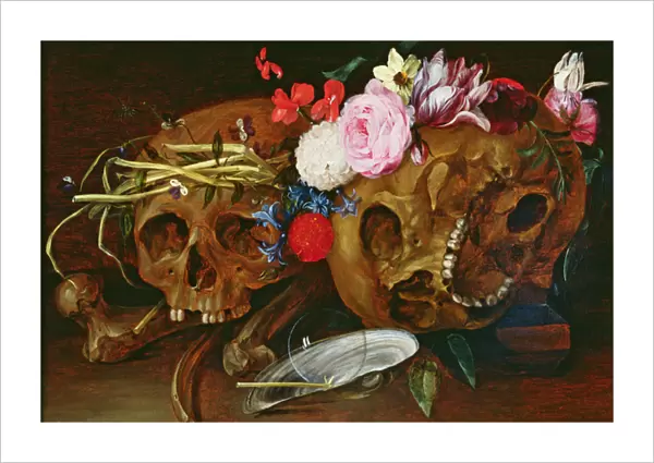 Vanitas Still Life with Skulls, Flowers, a pearl mussel shell, a bubble and straw