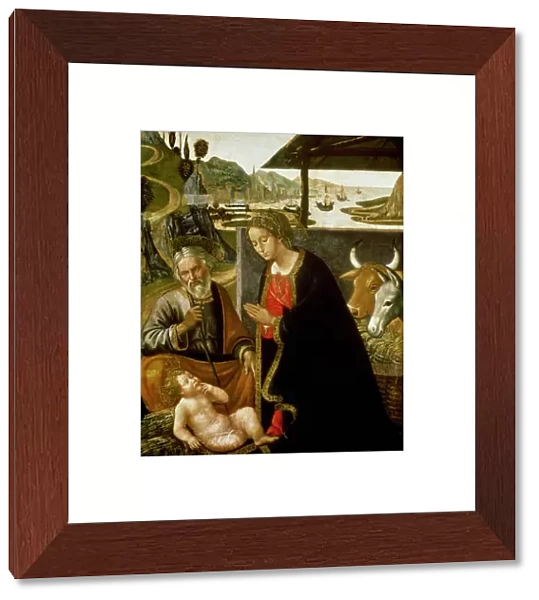 Nativity, c. 1490 (panel)