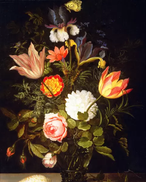 Still Life of Flowers in a Roemer with Two Shells (oil on panel)