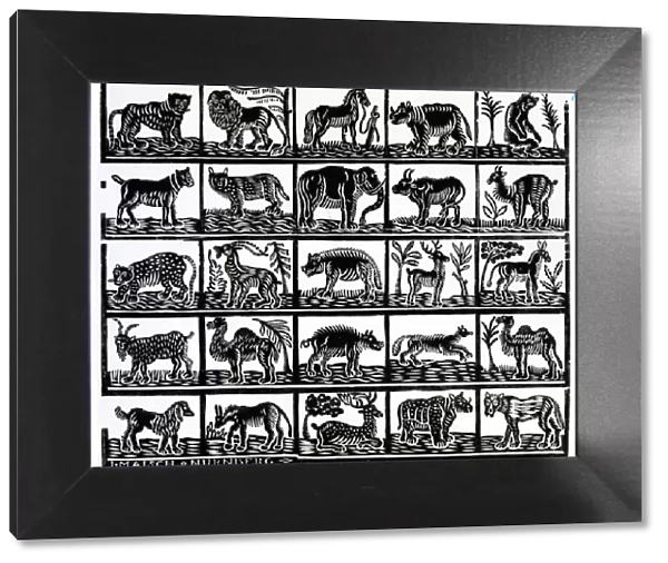 Collection of animals (woodcut)