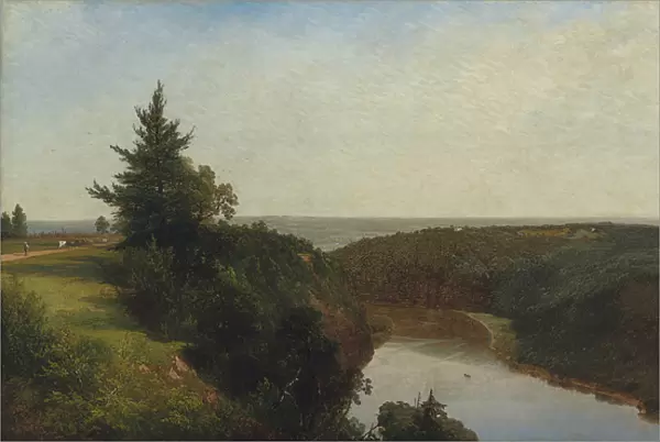 View on the Genesee near Mount Morris, 1857 (oil on canvas)