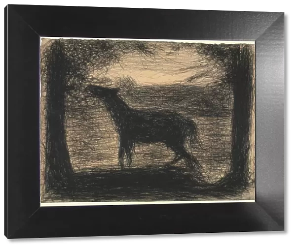 Foal (Le Poulain), 1882-83 (conte crayon on laid paper)