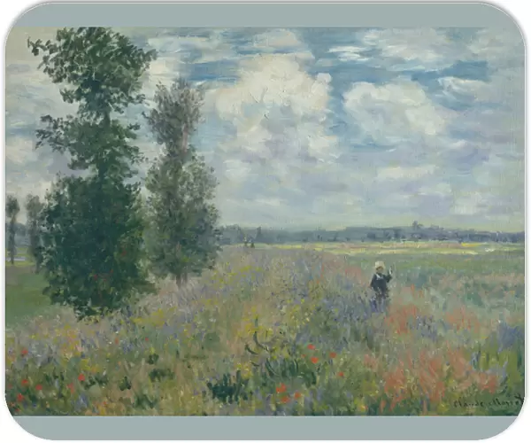 Poppy Fields near Argenteuil, 1875 (oil on canvas)