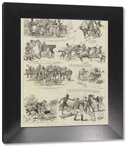 Episodes in the Career of a Polo Pony (engraving)