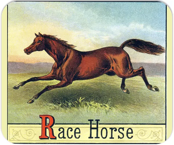 Letter R: Race Horse - 'Picture Alphabet of Horses and Dogs'1887 (lithograph)