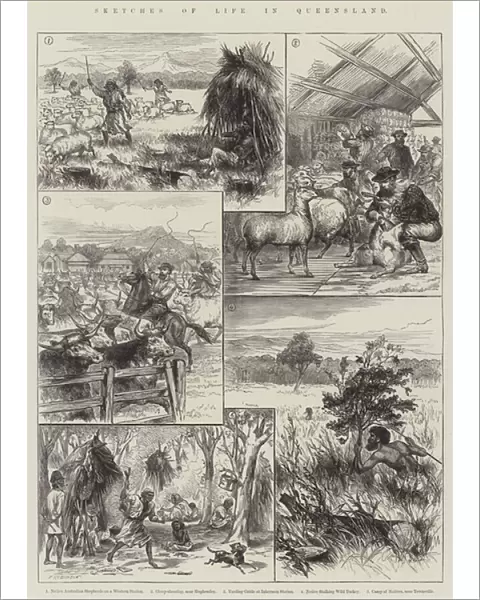 Sketches of Life in Queensland (engraving)