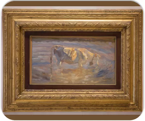 Cow, 1898 (oil on canvas)