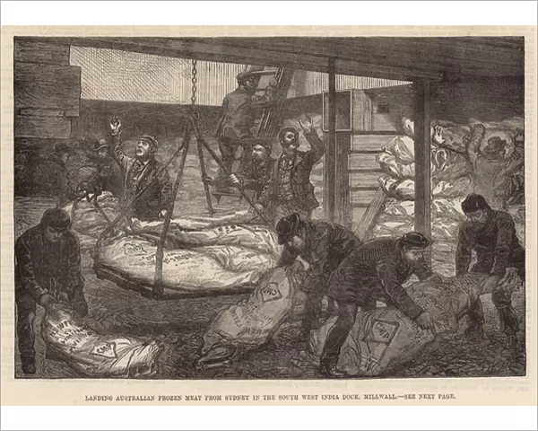 Landing Australian frozen meat in the South West India Dock, Millwall (engraving)