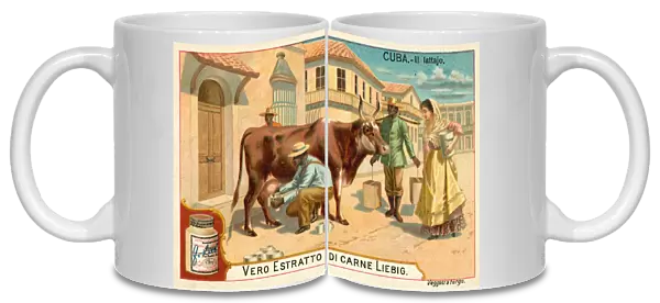 Milking, Cuba (chromolitho)