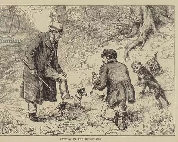 Ratting in the Hedgerows (engraving)