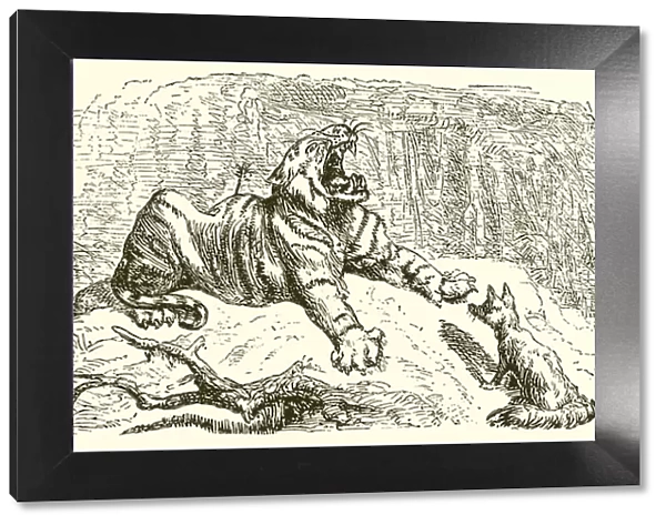 The Fox and the Tiger (engraving)