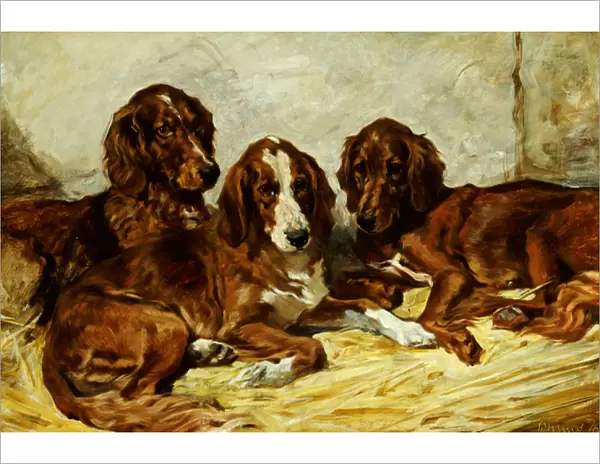Shot and his Friends - Three Irish Red and White Setters, 1876 (oil on canvas)