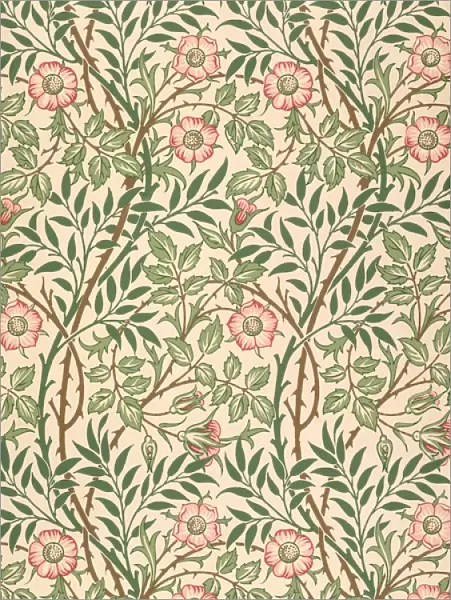 Sweet Briar design for wallpaper, printed by John Henry Dearle (1860-1932) 1917