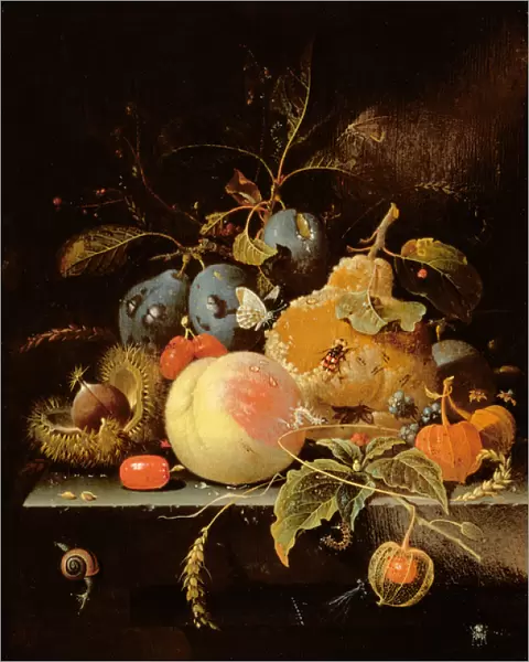 Still Life of Fruit and Nuts on a Stone Ledge (oil on panel)