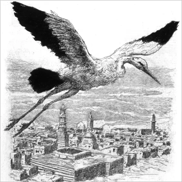 A stork flying over a North African village, 1909 (engraving)