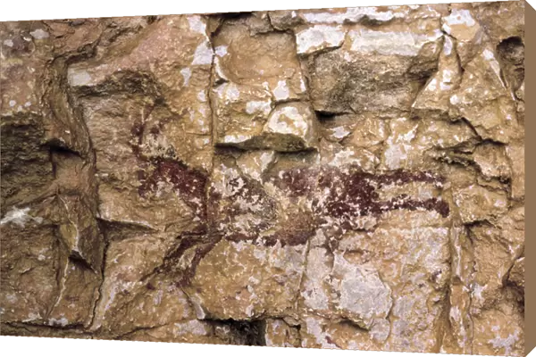 A running goat, Mesolithic period, Spain, Remigia cave, Barranco de la Gasulla