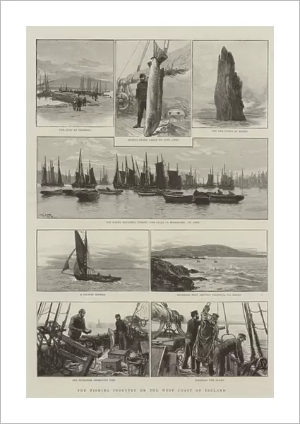 The Fishing Industry on the West Coast of Ireland (engraving)
