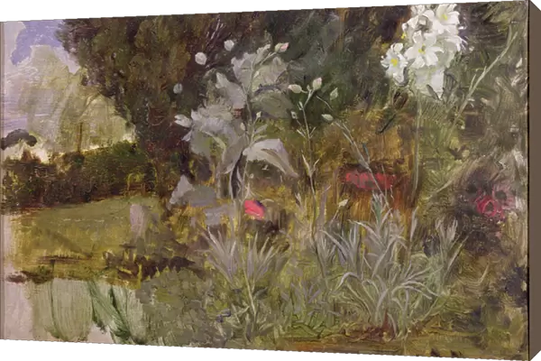 Study of Flowers and Foliage, for The Enchanted Garden