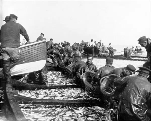 Fisherman with their Catch, c. 1890 (b  /  w photo)