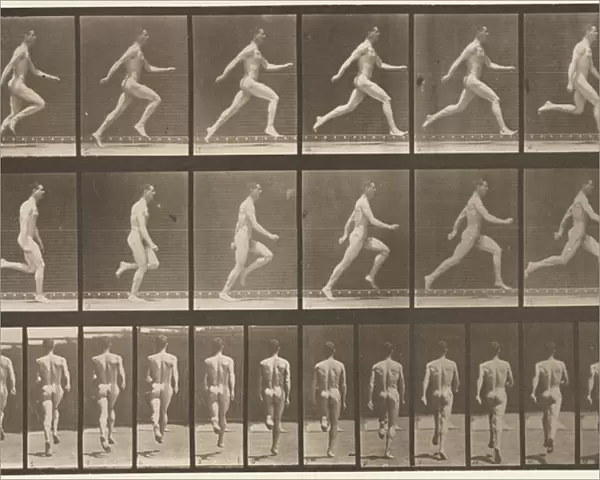 Plate 64. Running at Full Speed, 1872-85 (collotype on paper)