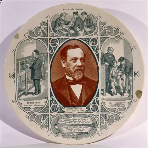Plate with a photograph of Louis Pasteur (1822-95) by Pierre Petit (1832-1909)