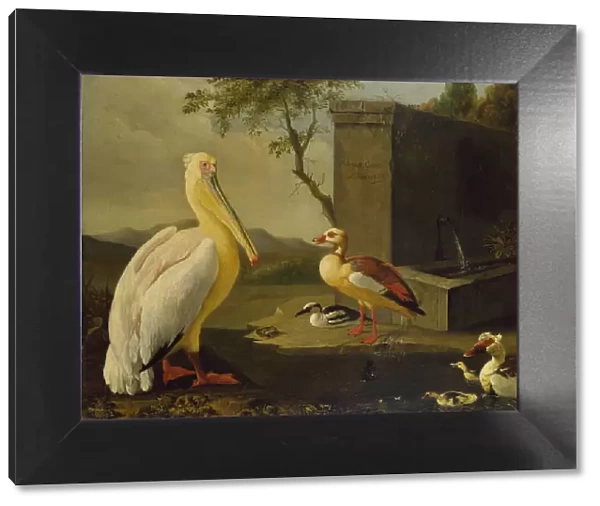Oriental Birds (oil on canvas)