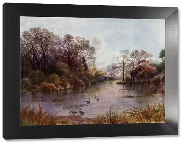 Kew Gardens: The Lake (colour litho)