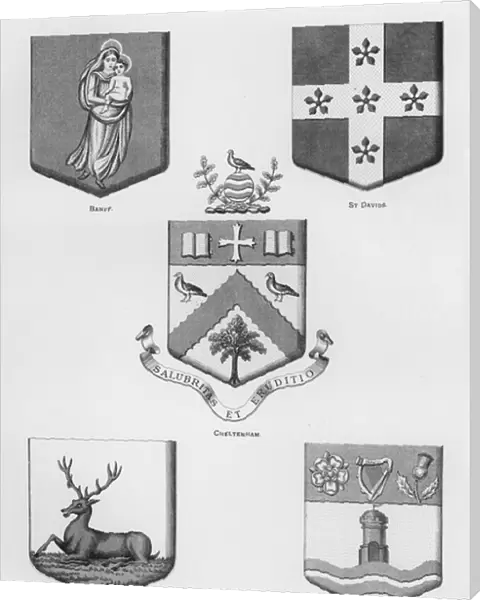 Public arms: Banff; St Davids; Cheltenham; Hertfordshire; Belturbet (engraving)