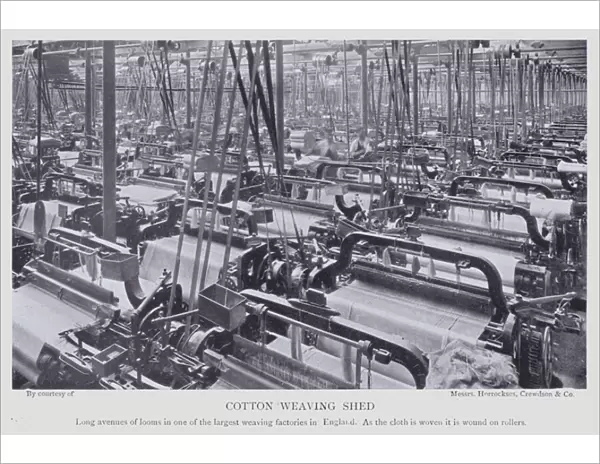 Cotton weaving shed (b  /  w photo)