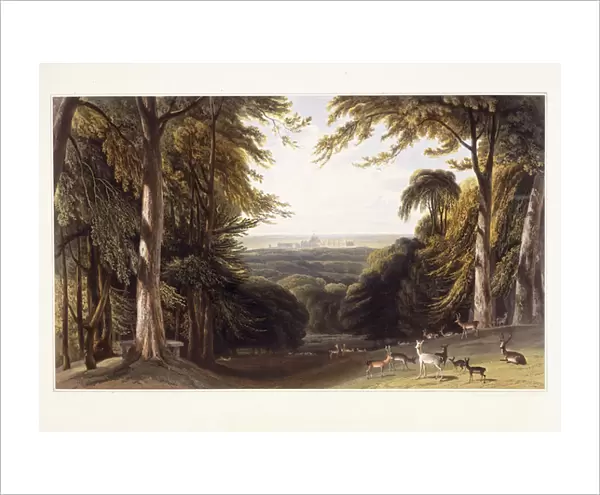 Windsor Castle from the Deer Park, c. 1827-1829 (hand-coloured aquatint)