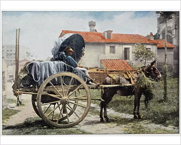 A carter carrying his wine. Rome, Italy, late 19th century