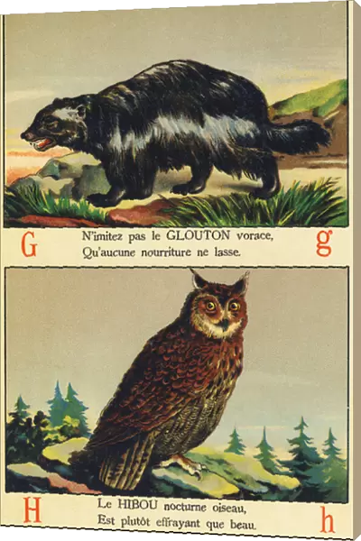 G as Glouton and H as Owl