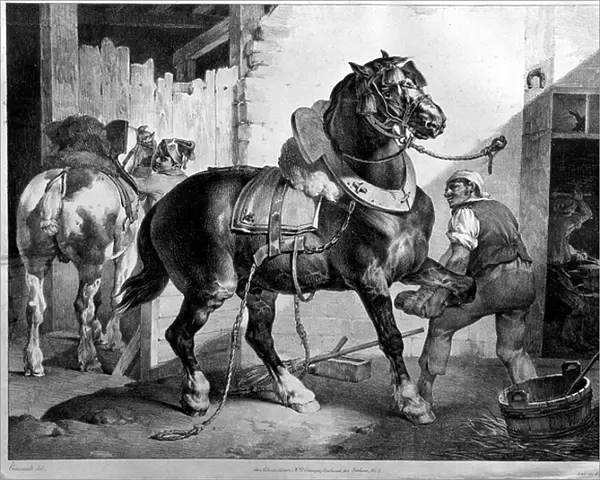 Fitting of a draught horse (lithograph)