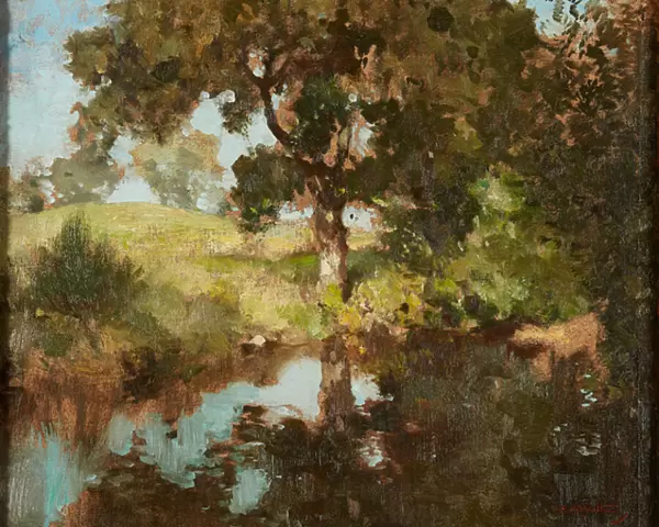 Summer Reflections (oil on canvas)