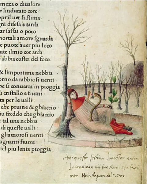 Fol. 52r from Canzoniere e Trionfi by Petrarch, c. 1470
