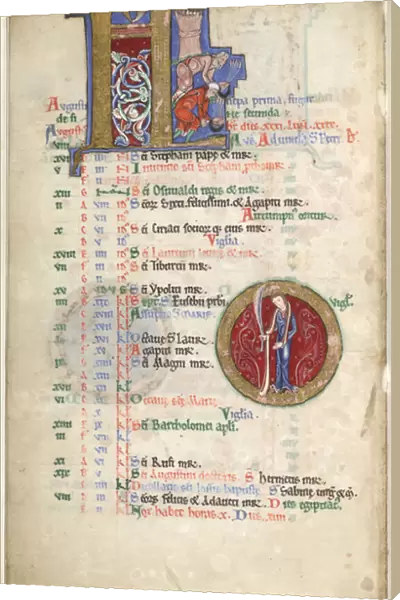 MS Hunter 229 f. 4v August, from the Hunterian Psalter, c. 1170 (pen & ink, and tempera on vellum)