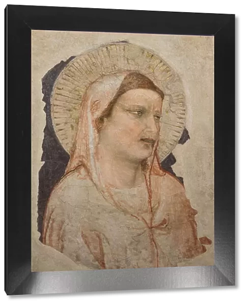 Grieving Madonna, 1305-10 (detached fresco)