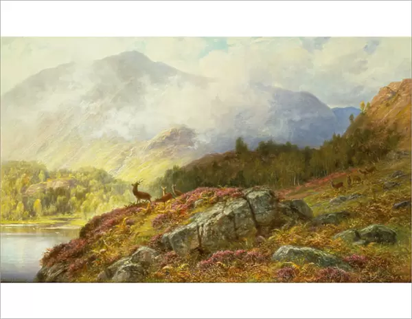 Deer in a Highland Landscape (oil on canvas)