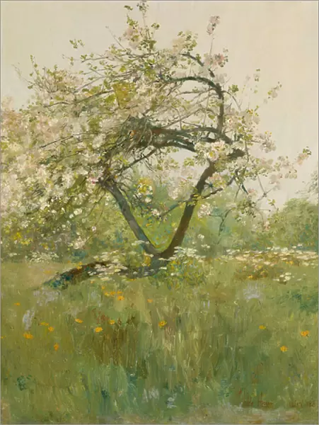 Peach Blossoms, Villiers-le-Bel, 1887-89 (oil on canvas)