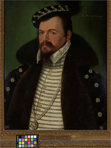 Ambrose Dudley, Earl of Warwick, 16th century (oil on panel)