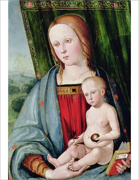 Virgin and Child, after 1494 (tempera with oil glazes on panel)